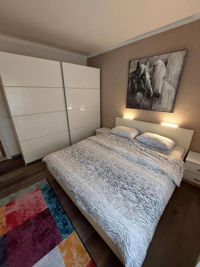 Apartman Deus Apartment Rijeka Exterior photo